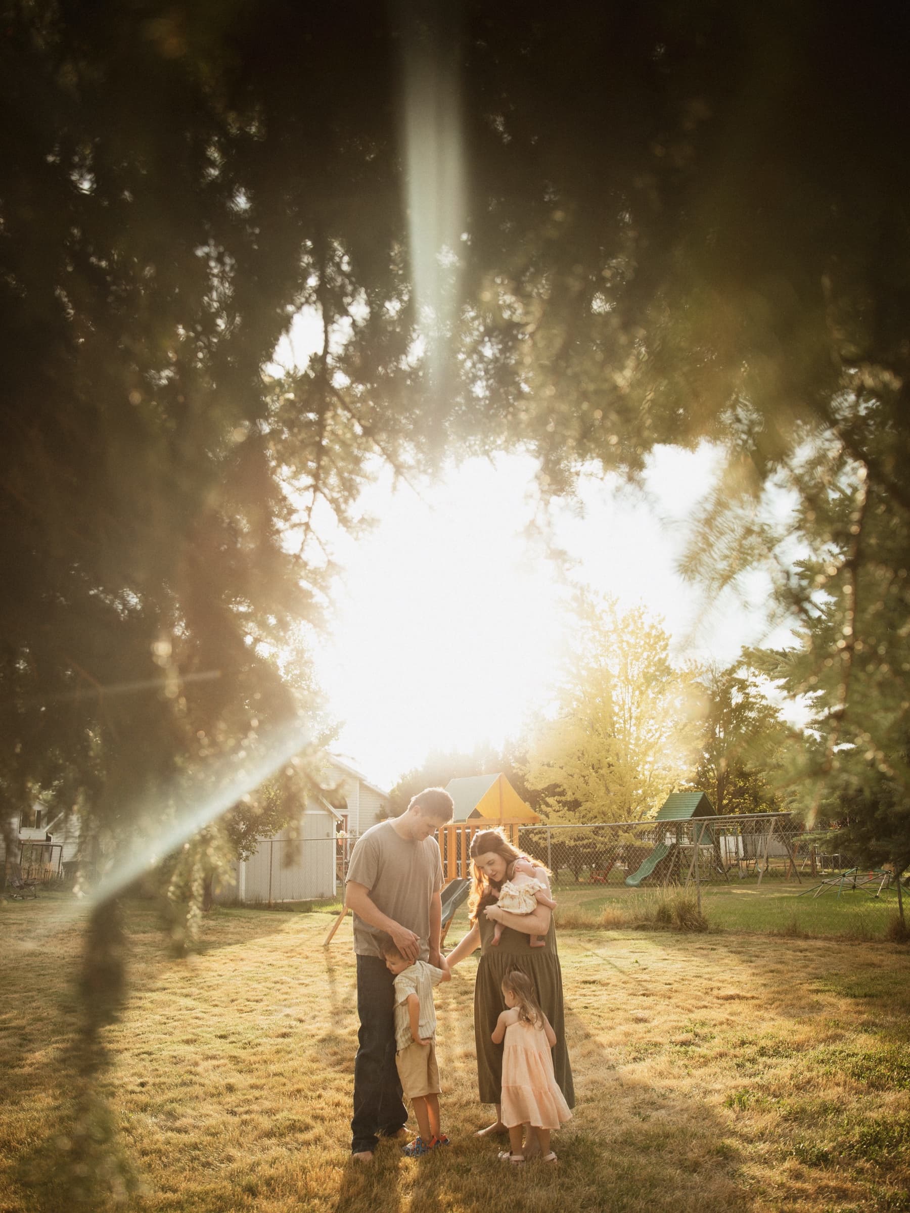A family shares a quiet moment beneath a sunlit tree.
