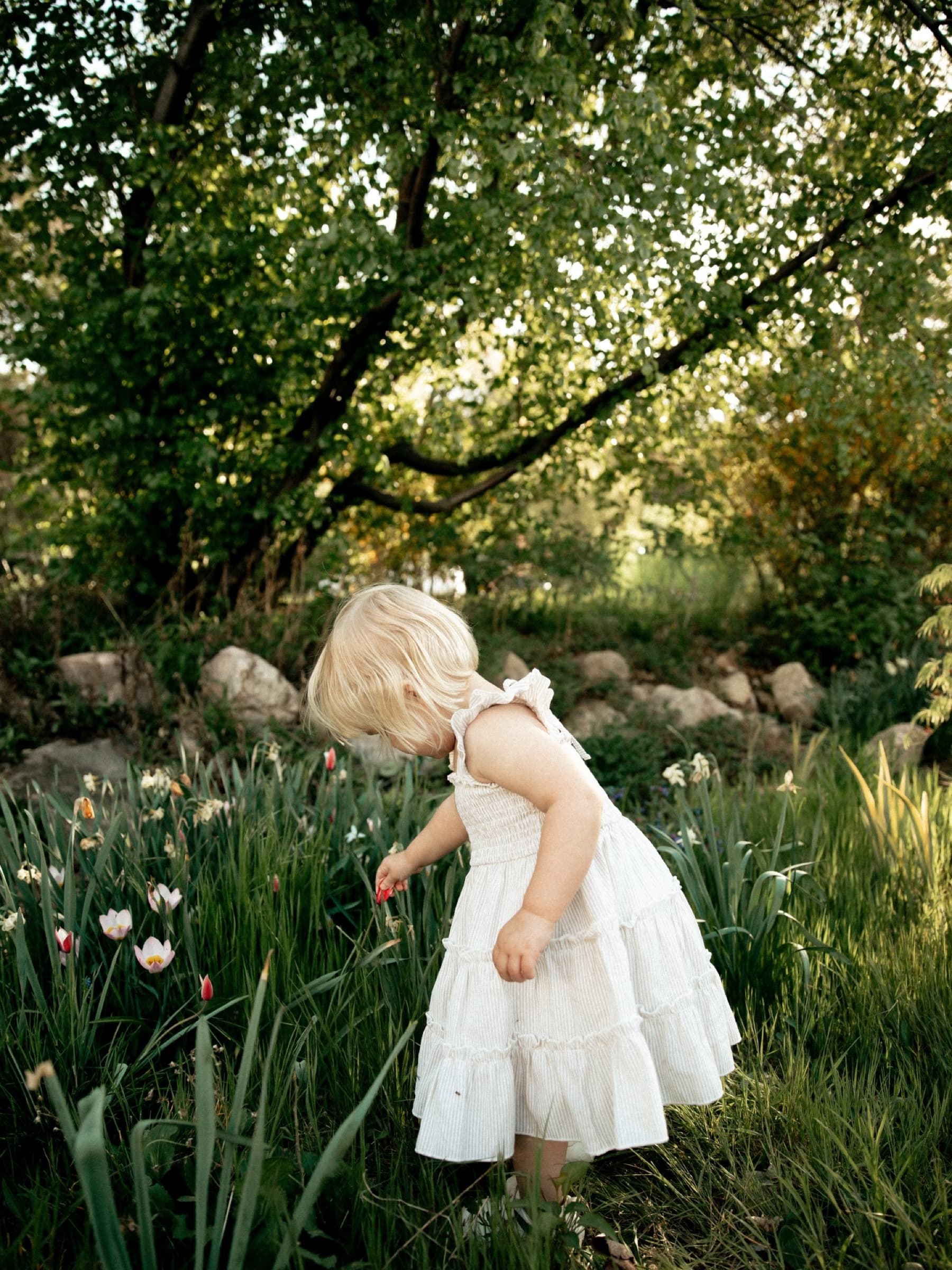 A young girl studies flowers beneath a leafy tree.